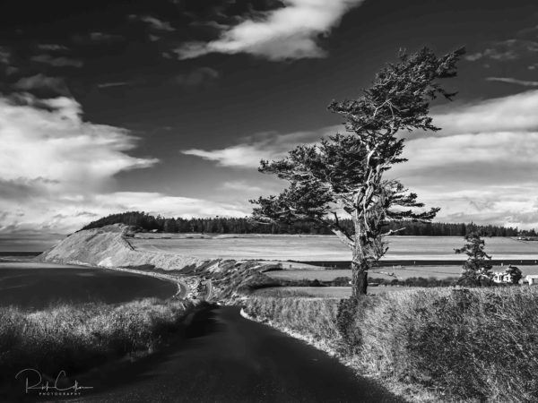 Front Road